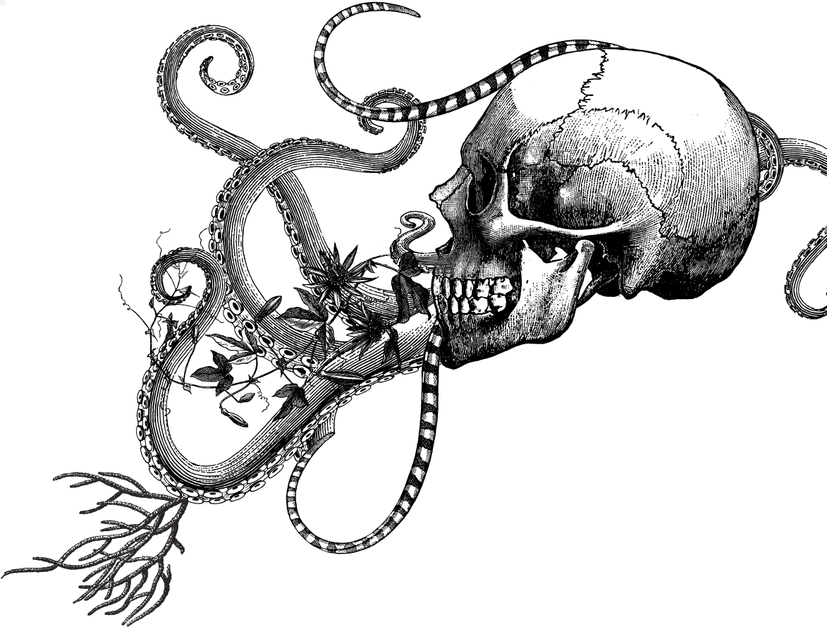 Skull and Tentacle Illustration